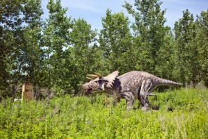 Field Station: Dinosaurs - Triceratops - Secaucus, NJ