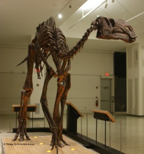 Hadrosaurus foulki - New Jersey State Museum | Things to Do In New Jersey