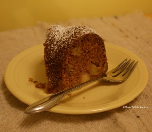 Mmmmm... Slice of Apple Cinnamon Cake | Things to Do In New Jersey