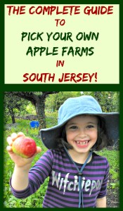 The Complete Guide To Pick Your Own Apple Farms in South Jersey! | find out more at www.thingstodonewjersey.com | #applepicking #nj #newjersey #southjersey #burlingtoncounty #gloucestercounty #pickyourown #apple #apples #orchards #fun #familyfriendly #daytrips #fieldtrips