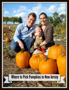 The Ultimate Guide to Pumpkin Picking in New Jersey! | Things To Do In New Jersey | #pumpkinpicking #pickyourownpumpkins #nj #newjersey #farms #fieldtrips #fall #pumpkins | pick your own pumpkin farms in New Jersey
