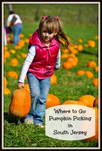 Pumpkin Picking in Southern New Jersey | Things to Do In New Jersey | #nj #newjersey #southjersey #farms #pickyourownpumpkins #pumpkinpicking #pumpkins #hayrides #fieldtrips
