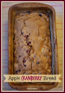 Apple Cranberry Bread | Doesn’t this look WONDERFUL?! Here's a little hint – DOUBLE THE RECIPE, because one loaf will not last long! Sweet apples combine with tart fresh cranberries and warm, spicy cinnamon to produce a flavor and aroma that is just HEAVENLY! | Get the recipe at www.thingstodonewjersey.com | #thanksgivingbrunch #cranberrybread #nj #newjersey #cranberry #apple #bread #recipe #jerseyfresh #brunch #thanksgiving