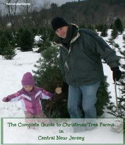 The COMPLETE Guide to Christmas Tree Farms in Central New Jersey! | Find out more at www.thingstodonewjersey.com | #nj #newjersey #christmas #christmastreefarms #christmastree #farms #chooseandcut #cutyourown #centralnewjersey #princeton #somerville