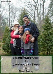 The ULTIMATE Guide to Christmas Tree Farms in New Jersey! | Find out more at www.thingstodonewjersey.com | #nj #newjersey #christmas #christmastrees #christmastreefarms #farms #chooseandcut #northjersey #southjersey #centraljersey