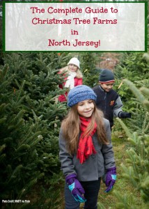The COMPLETE Guide to Christmas Tree Farms in North Jersey! |Find out more at www.thingstodonewjersey.com | #nj #newjersey #christmastreefarms #christmastree #christmas #farms #northjersey