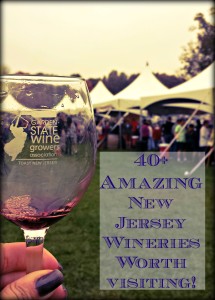 New Jersey wineries have proven they can go head to head with vineyards from areas such as Napa, Bordeaux, and Tuscany. New Jersey wines consistently earn top honors in prestigious international wine competitions. | learn more at www,thingstodonewjersey.com | #nj #newjersey #newjerseywine #newjerseywineries #newjerseyvineyards #wineries #vineyards #winefestivals #events #thingstodo #datenight #weekend #northjersey #southjersey #centraljersey #centralnewjersey #centralnj