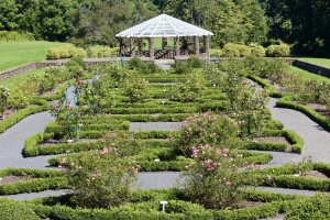 Deep Cut Gardens in Middletown NJ | new jersey public gardens | nj public gardens | public gardens in nj | public gardens in new jersey | new jersey botanical gardens | nj botanical gardens