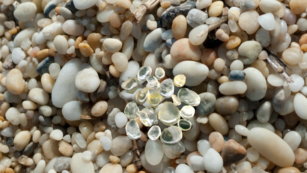 Hunting for Cape May diamonds is a fun way to spend a day at the beach. | cape may diamonds jersey shore | how to find cape may diamonds | what are cape may diamonds | hunting for cape may diamonds | nj | new jersey