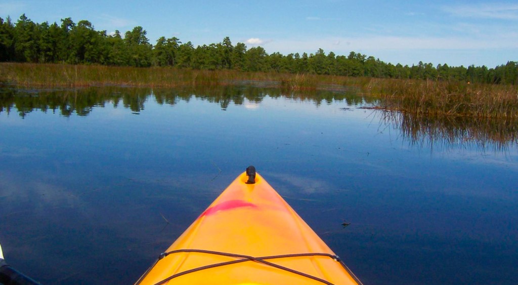 Paddle down the lazy Batsto River in New Jersey's Pine Barrens this summer! | canoeing in nj | kayaking in nj | canoeing in new jersey | kayaking in new jersey | canoeing in pine barrens nj | kayaking in pine barrens nj | canoeing in nj pinelands | kayaking in nj pinelands