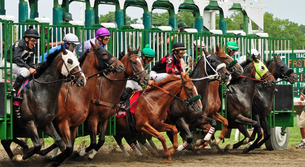 New Jersey is home to both thoroughbred and standardbred harness racing. | Monmouth Park NJ | horse racing in nj | horse racing in new jersey | nj horse racing | new jersey horse racing