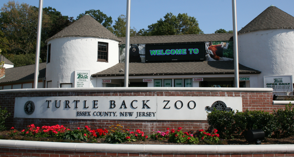 new jersey zoos | nj zoos | zoos in new jersey | zoos in nj | free zoos in new jersey | free zoos in nj