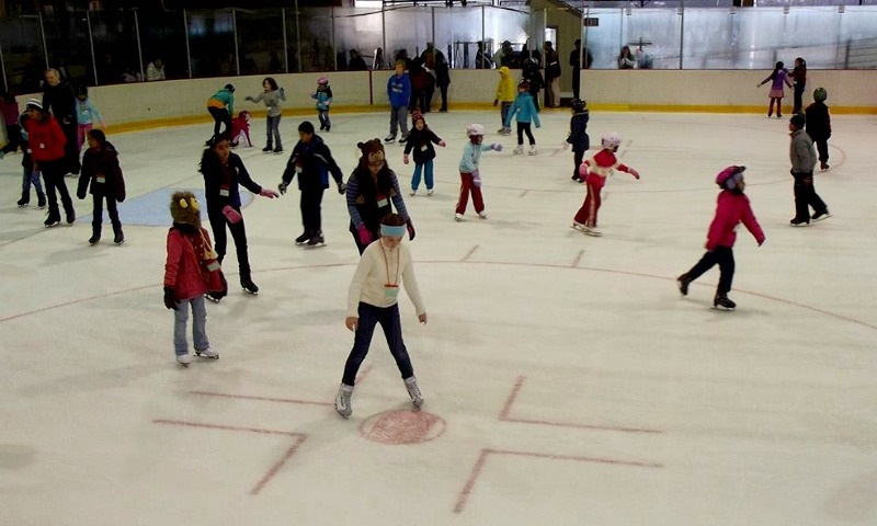 ice skating mercer county park nj