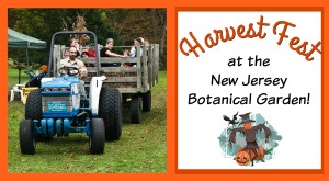 harvest fest at the new jersey botanical garden | nj botanical garden fall festival | things to do in New Jersey this weekend | things to do in NJ this weekend