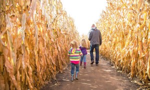 Westhaven Farm Corn Maze | monmouth county nj corn mazes | nj corn mazes | new jersey corn mazes | corn mazes in monmouth county nj