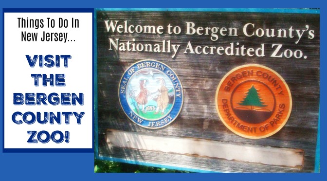 visit the bergen county zoo