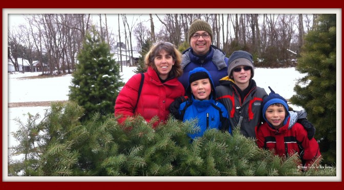 Christmas tree farm in New Jersey