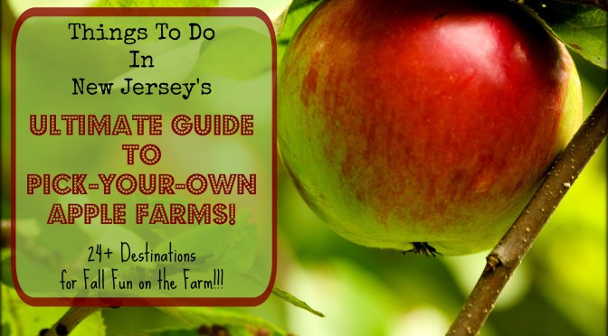 The Complete Guide to Apple Picking In New Jersey