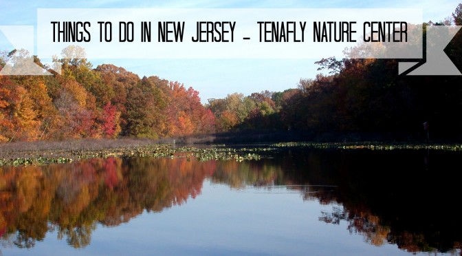Tenafly Nature Center | Things To Do In New Jersey | #tenafly #nj #newjersey #bergencounty #naturecenters #nature #fieldtrips #kids #hiking