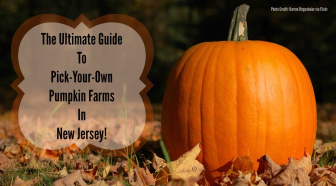 The Ultimate Guide To Pick Your Own Pumpkin Farms in New Jersey