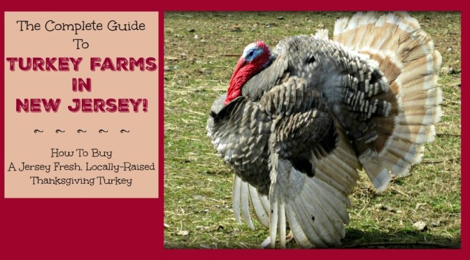 The Complete Guide to Turkey Farms In New Jersey