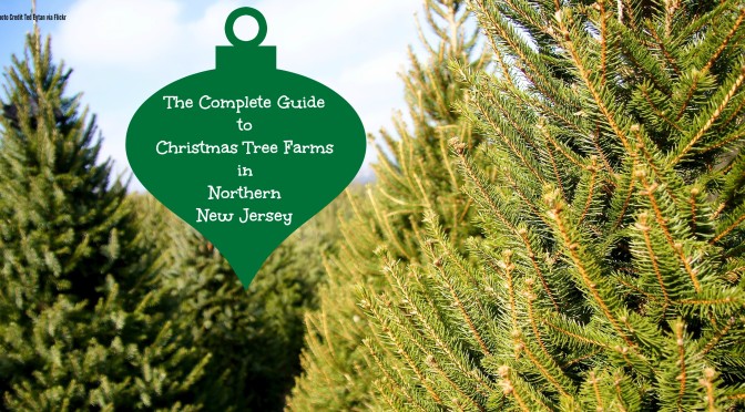 The Complete Guide To Christmas Tree Farms in North Jersey