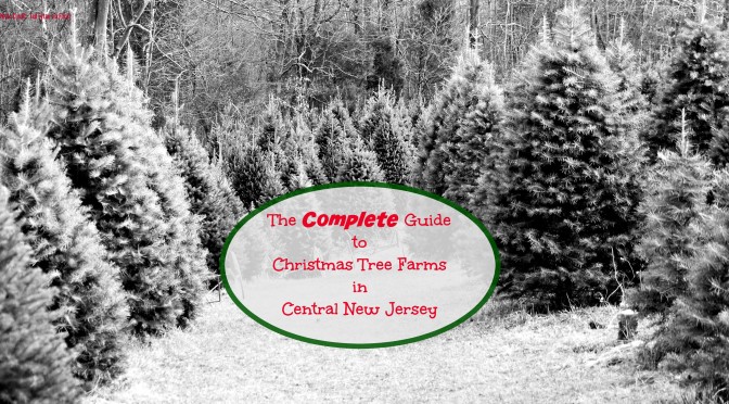 The COMPLETE Guide to Christmas Tree Farms in Central New Jersey! | Find out more at www.thingstodonewjersey.com | #nj #newjersey #christmas #christmastreefarms #christmastree #farms #centralnewjersey #princeton #somerville | Christmas tree farms in Central Jersey