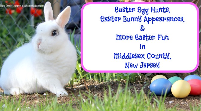Easter Egg Hunts, Easter Bunny appearances, & more Easter fun in Middlesex County,NJ! | find out more at www.thingstodonewjersey.com | #nj #newjersey #middlesexcounty #carteret #dunellen #spotswood #woodbridge #edison #jamesburg #plainsboro #easter #events #egghunts #easterbunny #wheretosee #fun #kids #free | Easter events in Middlesex County NJ | Easter Egg Hunts in Middlesex County NJ
