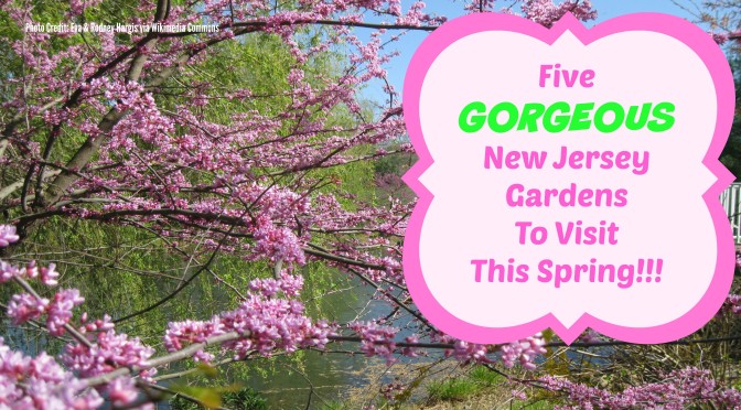 Things To Do In New Jersey – Visit Our Botanical Gardens!