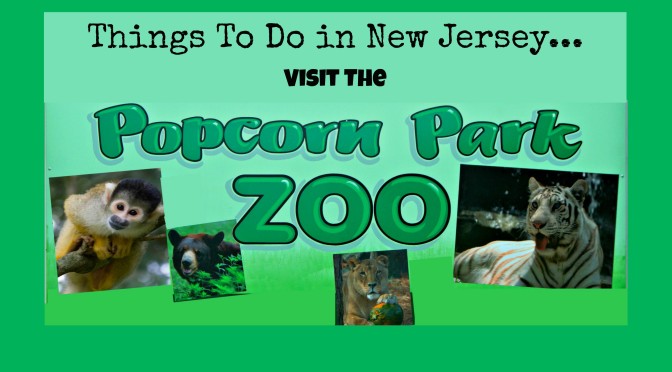 Visit the Popcorn Park Zoo!