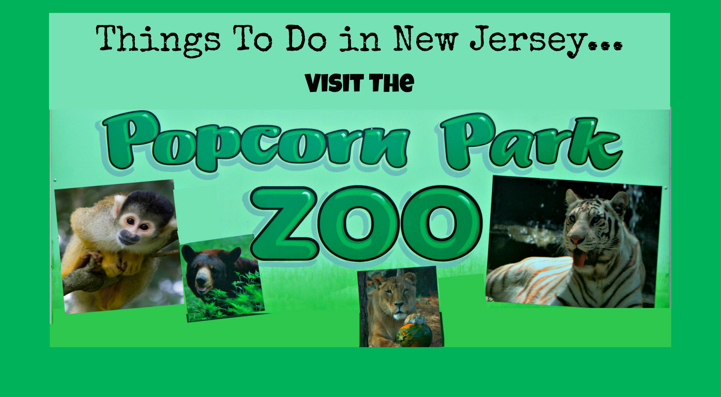 Visit the Popcorn Park Zoo! Things to Do In New Jersey