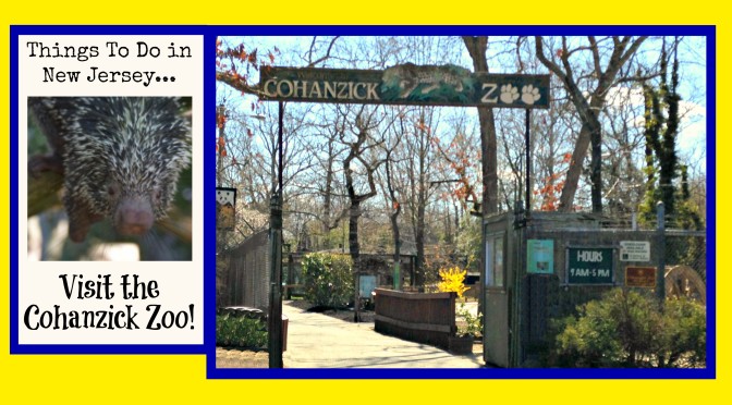 Visit the Cohanzick Zoo – New Jersey’s First Zoo!