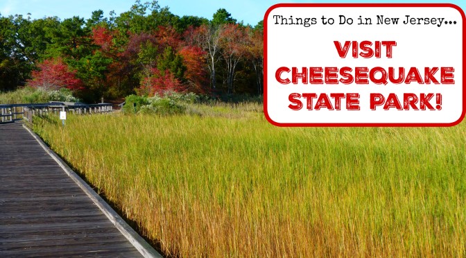 Things To Do in New Jersey – Visit Cheesequake State Park!