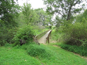 Walking Tour of Monmouth Battlefield @ Monmouth Battlefield State Park | Manalapan Township | New Jersey | United States