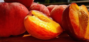 Alstede Farms Peach Harvest Festival @ Alstede Farms