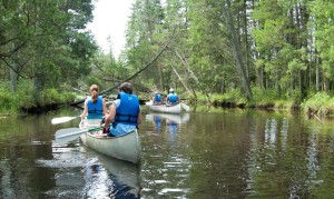 Batsto Lake Naturalist Guided Canoe Ecotour @ Batsto Lake Nature Center at Wharton State Forest