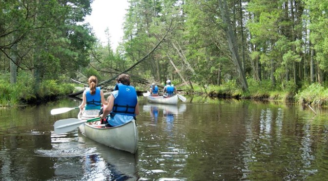 batsto lake naturalist guided canoe ecotour