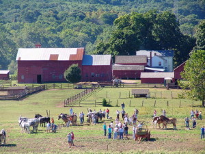 Plowing Match at Howell Living History Farm @ Howell Living History Farm