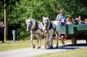 Harvest Home Festival @ Historic Longstreet Farm