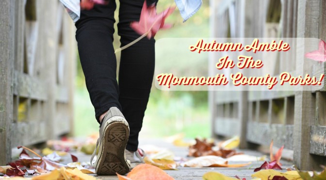 autumn amble monmouth county parks | autumn amble at manasquan reservoir environmental center howell nj | guided hike