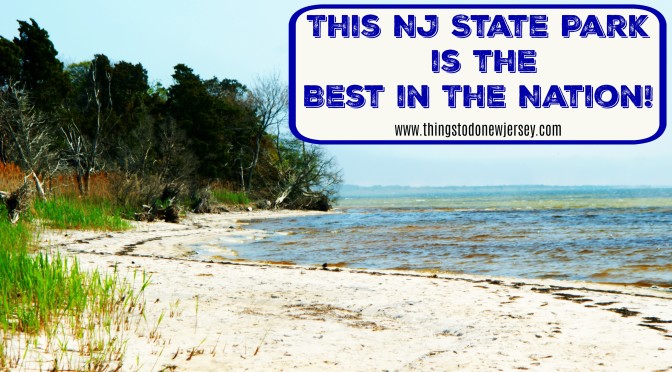 This New Jersey State Park Was Just Named Best In The USA!