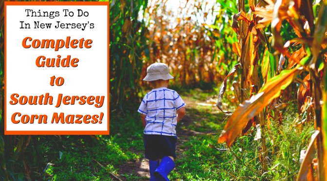 The Complete Guide to South Jersey Corn Mazes